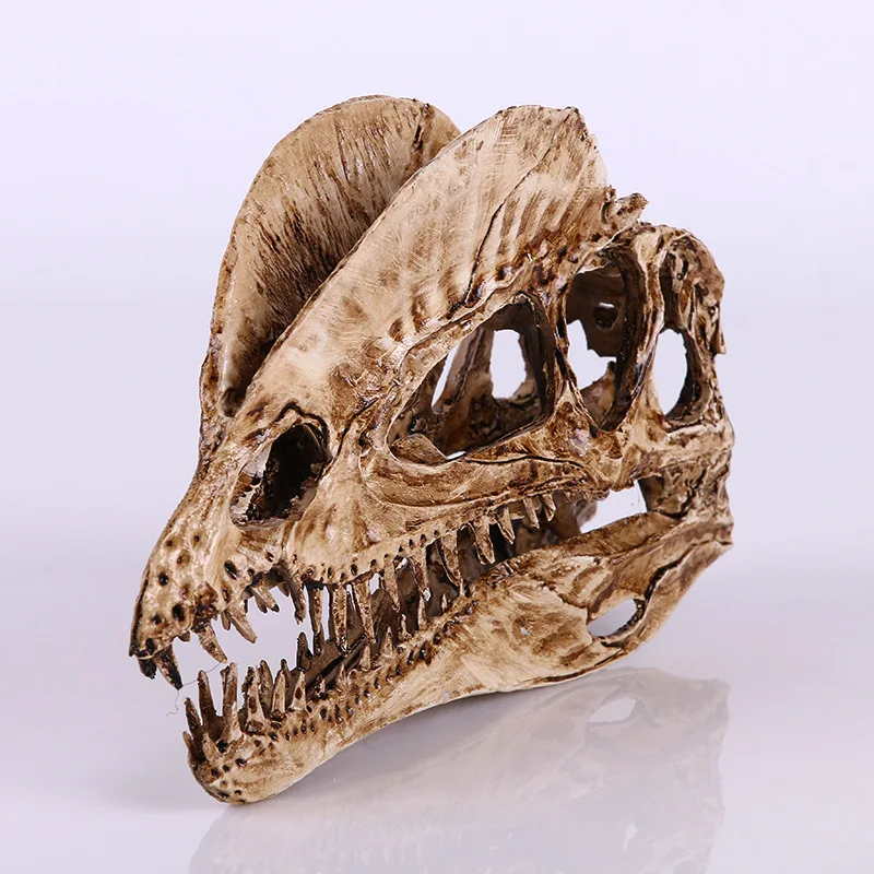 Dinosaur And Craft - [MGT] Dekorasi Kerajinan Resin Patung Tengkorak