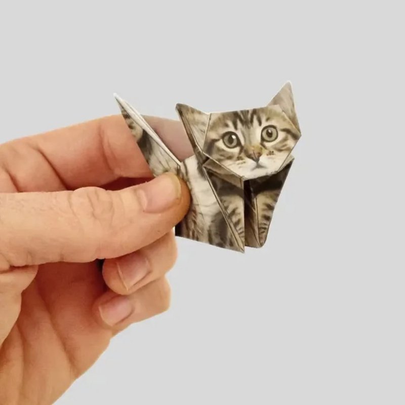 Kucing Kertas DIY Kreatif 50 L - Dinosaur And Craft ulasan dan harga